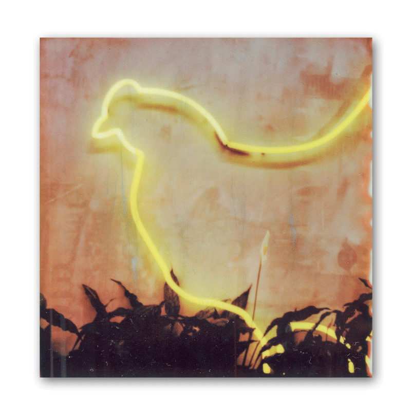 Ein Neonschild in Huhn-Form