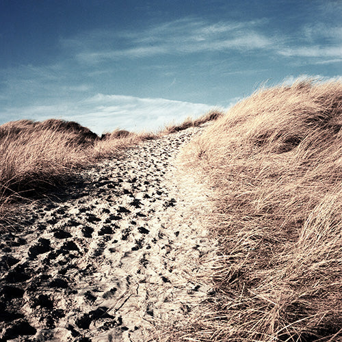 Landschaft