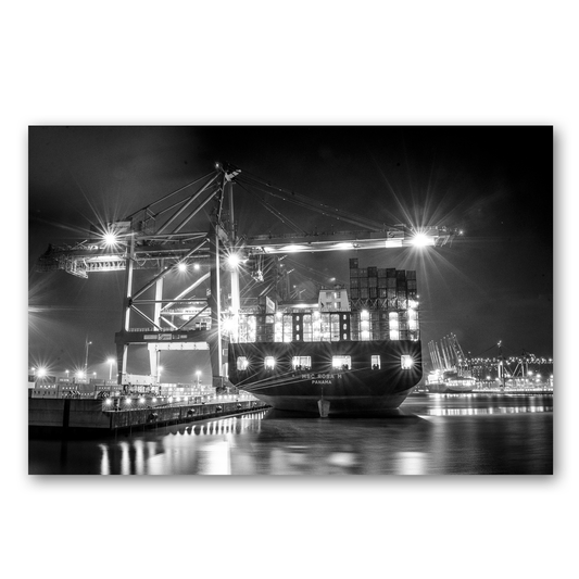Containerschiff MSC ROsa M im Hamburger Hafen