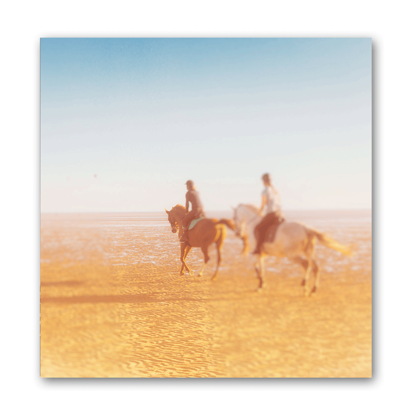 Zwei Reiter mit ihren Pferden reiten am Strand