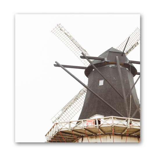 Die alte Mühle