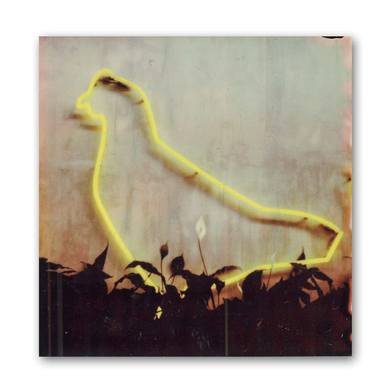 Ein Neonschild in Huhn-Form